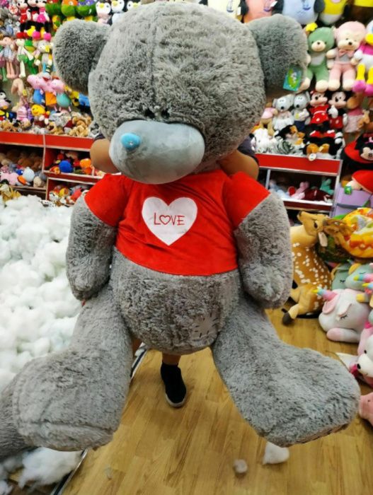 Teddi Teddiy Orginal Eng ARZON Narxlarda Xitoy