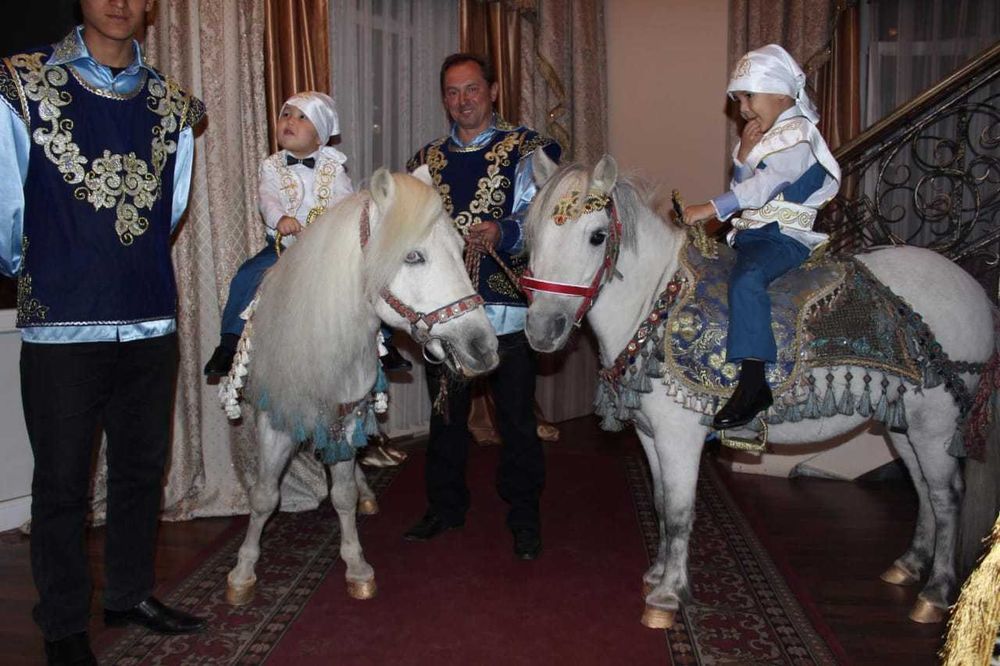 конь, пони, карета, трон