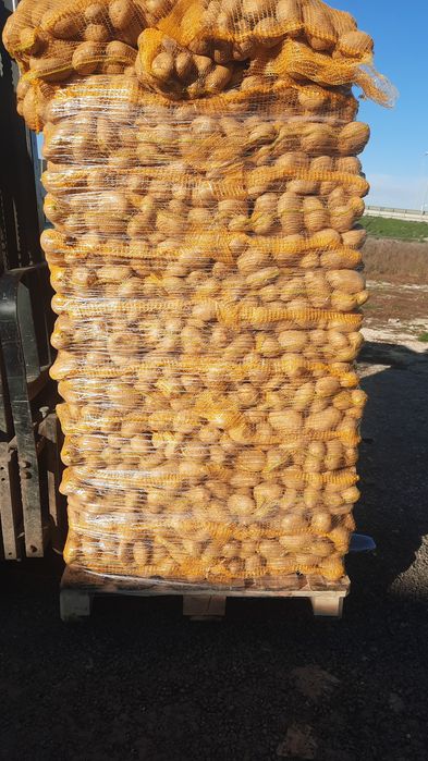 Vând cartofi  calitate 1