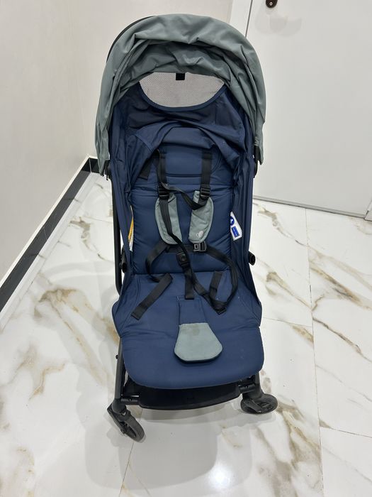 Прогулочный коояска