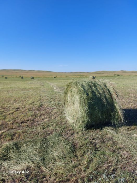 Продается сено в рулонах