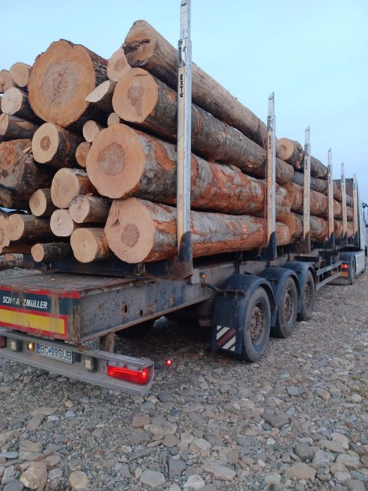 Lemne de foc esenta tare ( fag )