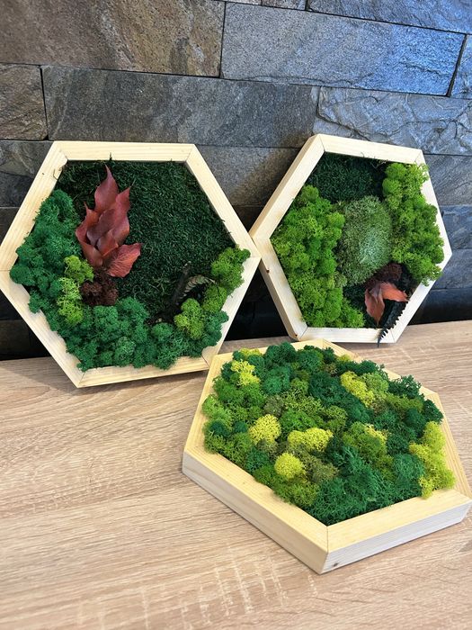 Set 3 hexagoane premium