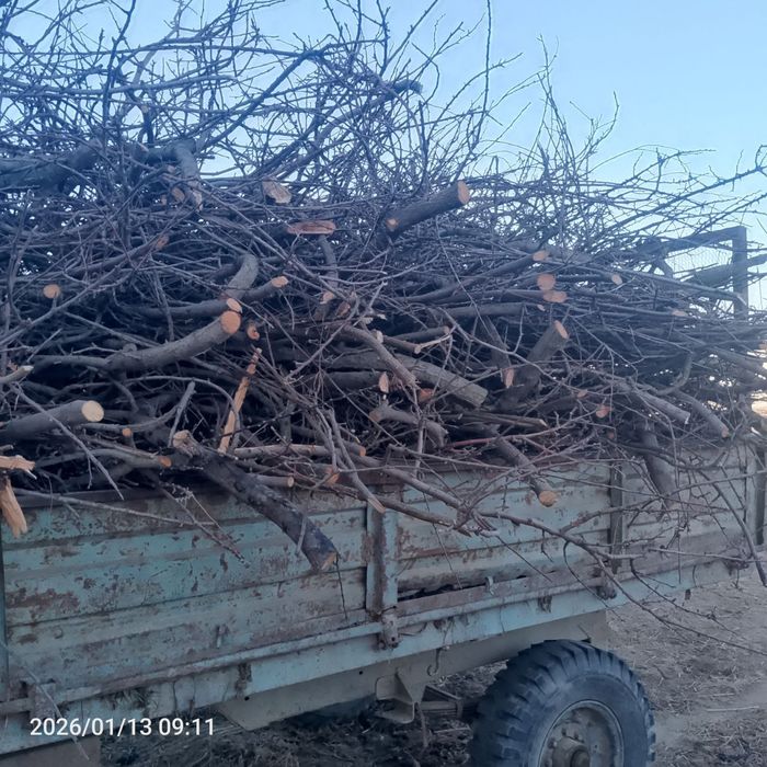 Utin sotiladi narxi kelishiladi