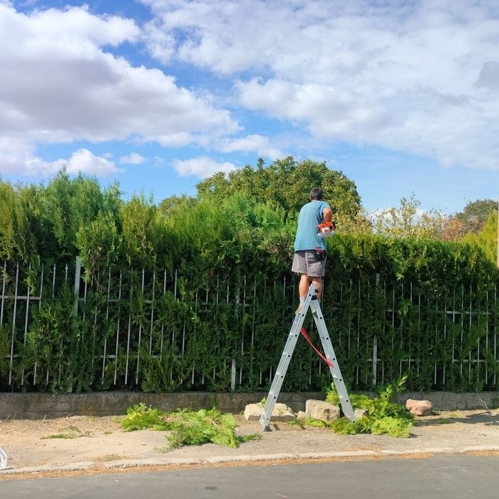 Косене, рязане, почистване