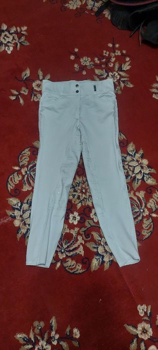 Leggings echitatie de concurs
