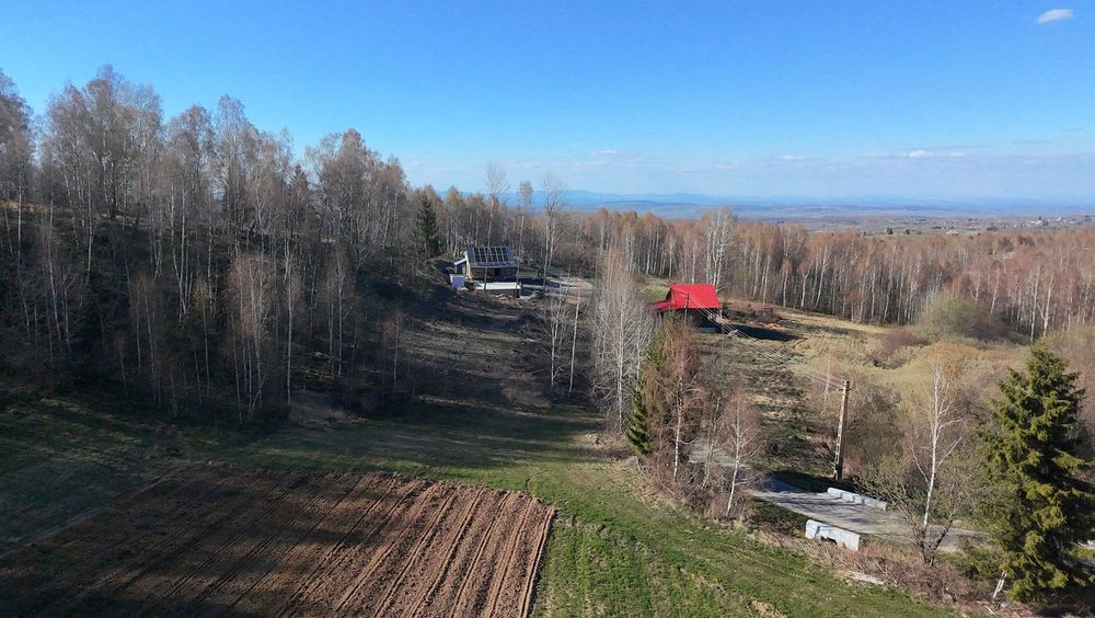 Teren Premium 4.595 mp – Dealu Mare, Râșca | Ideal Investiție sau Cabană