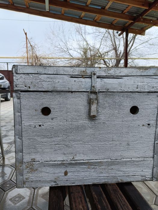 Улья   для  пчел