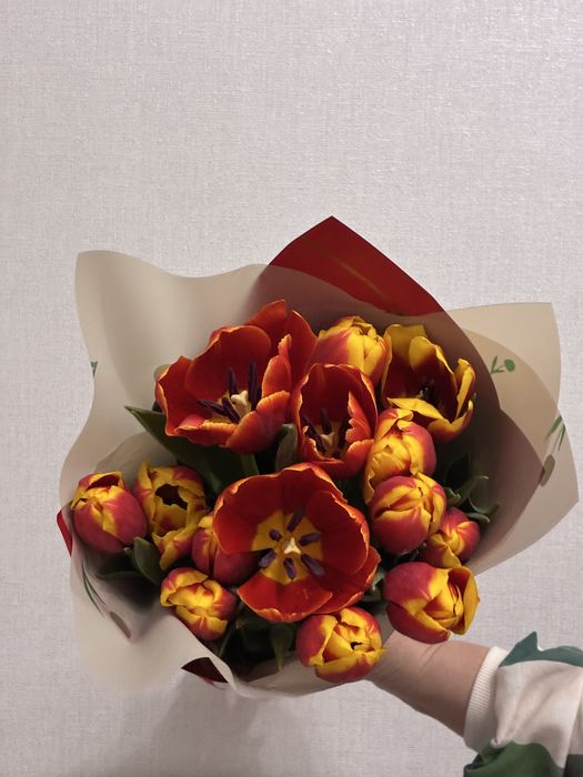 Цветы Астана тюльпаны