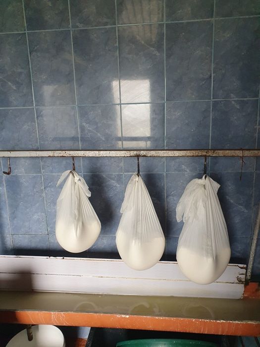Vând branza de capra/vacă sau amestec