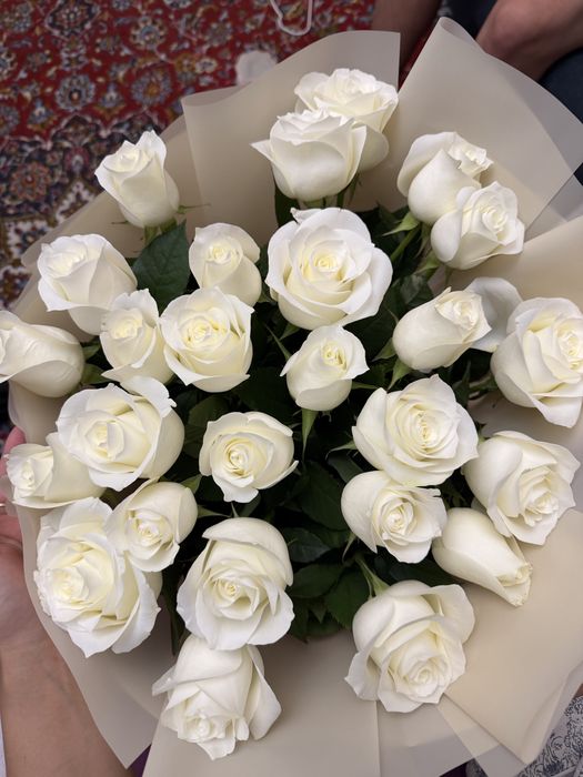 Цветы розы.          ,