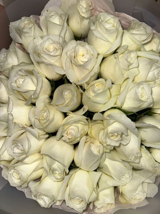 продам розы белые. Очень красивый букет 41 шт