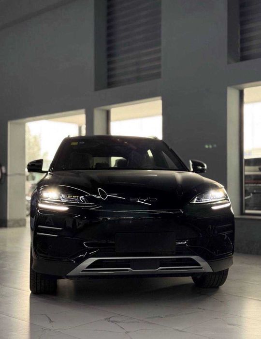 Byd chempion smart