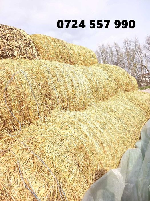 baloti  de paie, baloti de orz