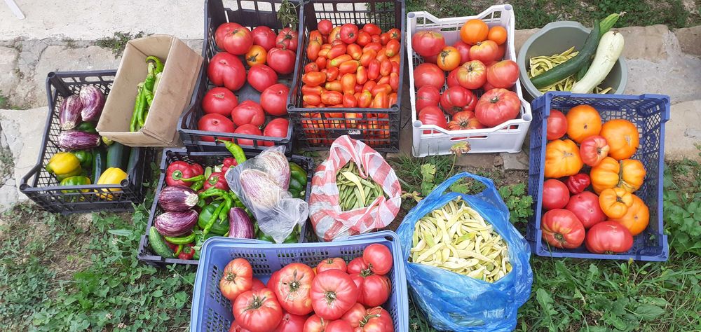 Продавам 1010 кв. м. в регулация и 2 декара зем. земя в с. Враниловци.