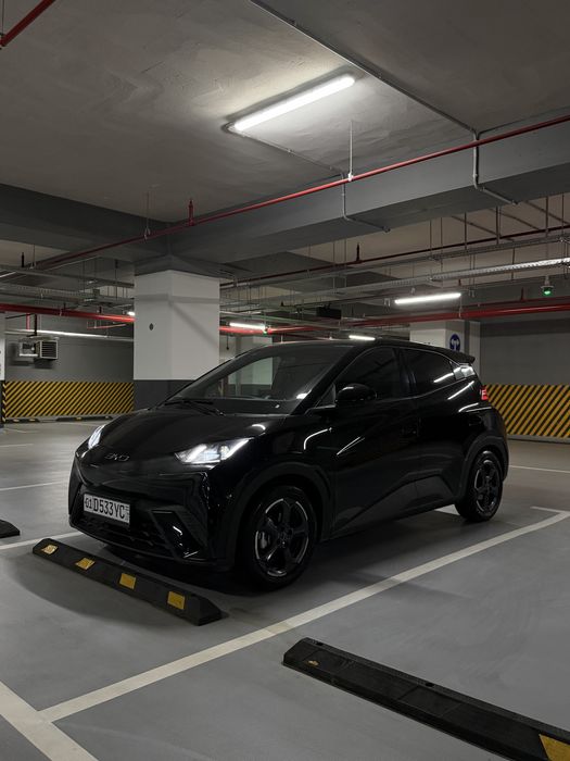 BYD Seagull 2024 Full