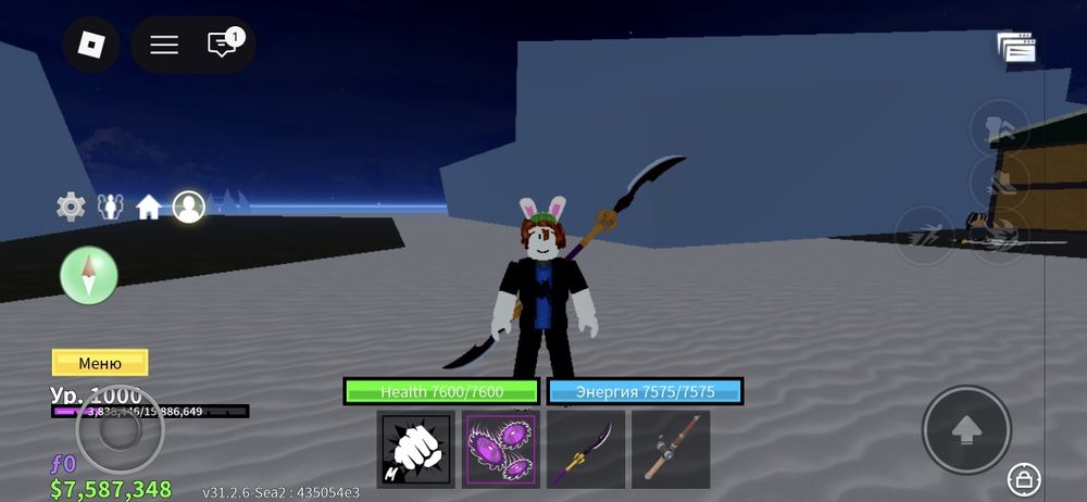 Продам акаунт в roblox,игра:blox fruit
