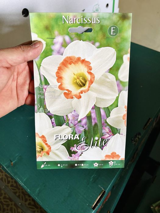 Нарциссы сортовые луковичные