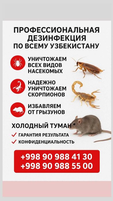 Срочная дезинфекция в Ташкенте 24/7! Уничтожение клопов, блох и мух