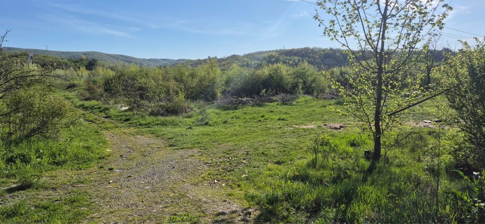 Teren de vinzare intravilan