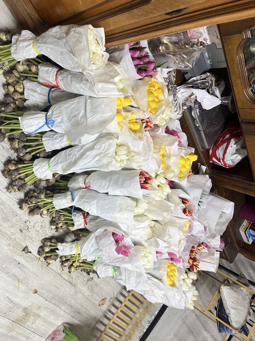 Продаем тюльпаны