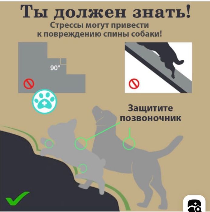 Лестница для собак