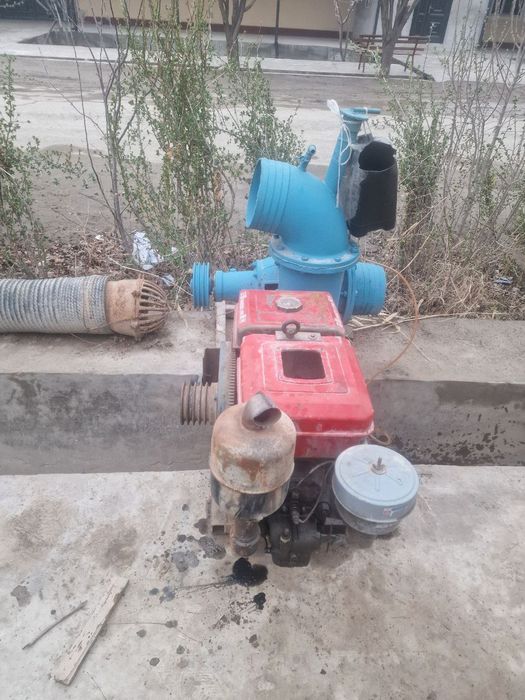 Jumong nasoʻs 250 lik