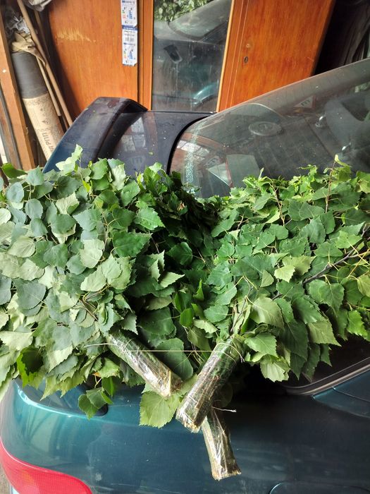 Продам банные берёзовые веники