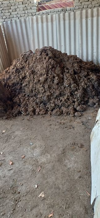 Нури молники сотилади