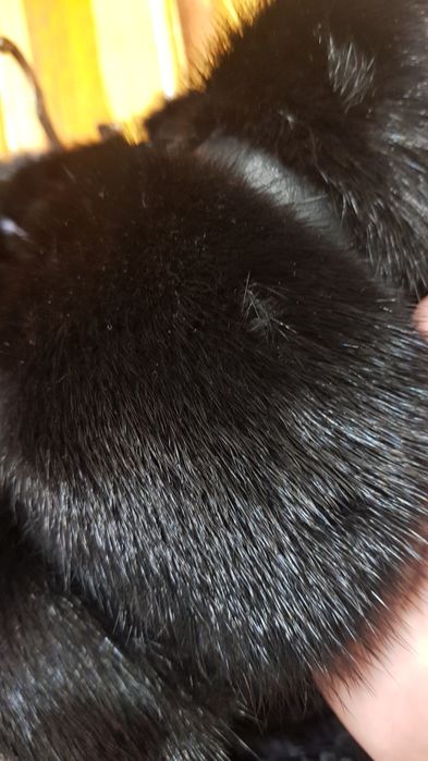 Продам шубку мутон+ норочка