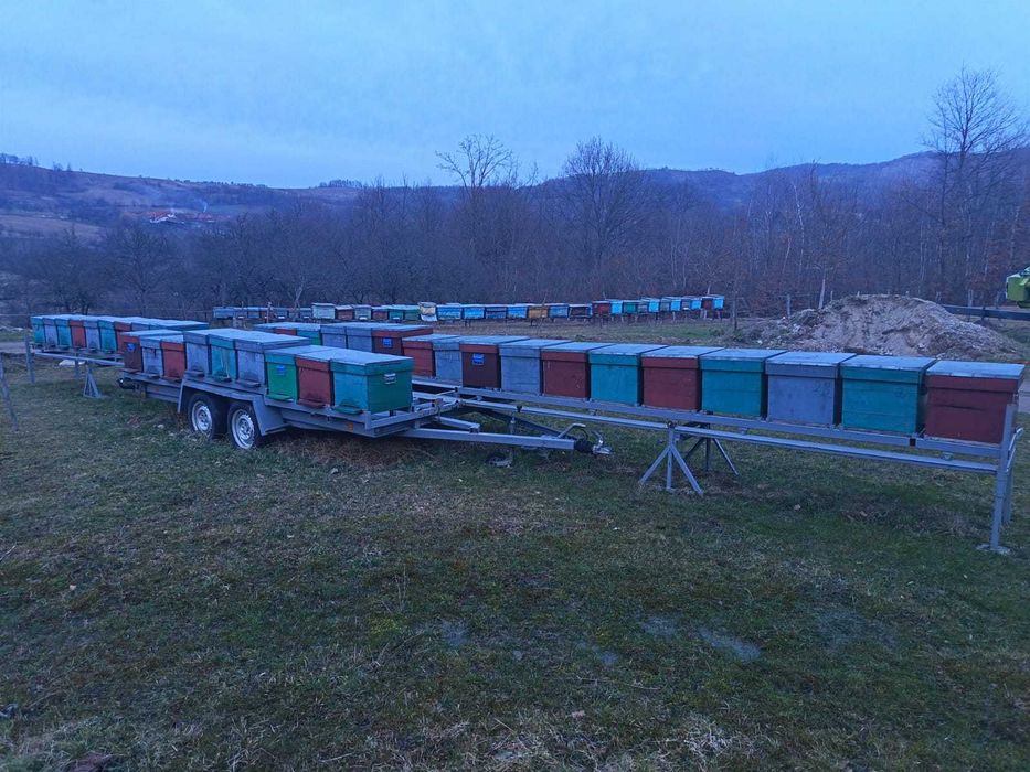 Vând platformă,remorca apicolă extensibila