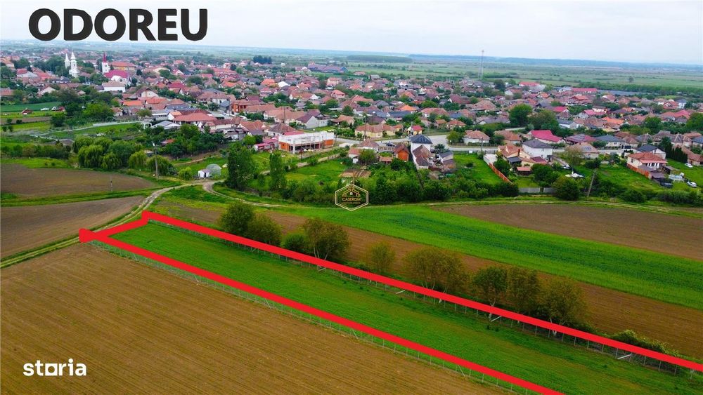 Teren 3.600 m² in Odoreu | 7 km de Satu Mare | 160 m de Principala