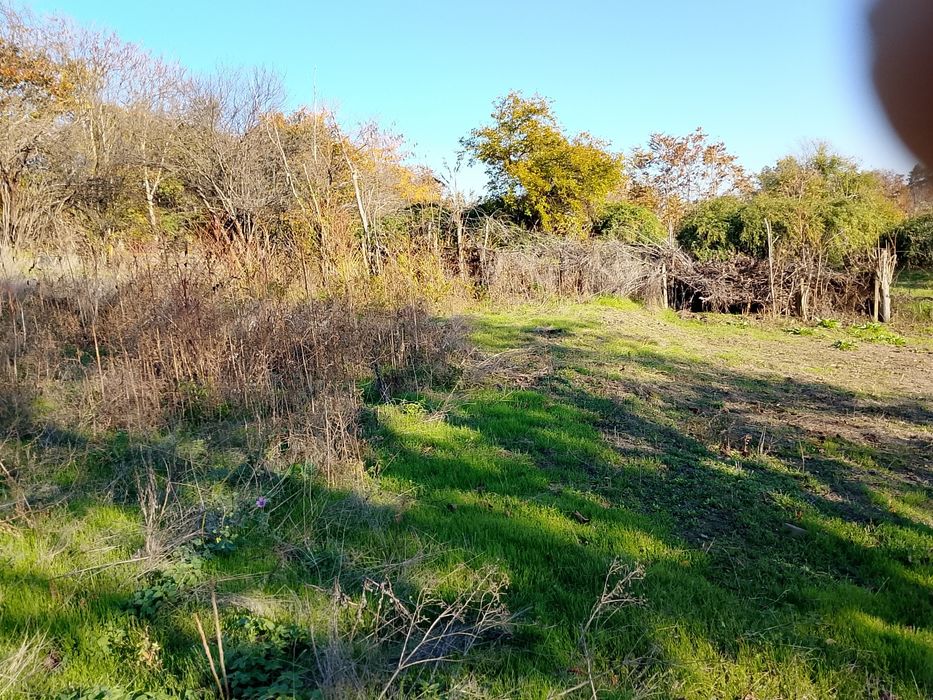 Двор в село Пдем