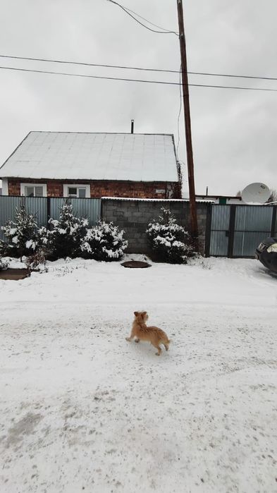 Продам особняк меблированный