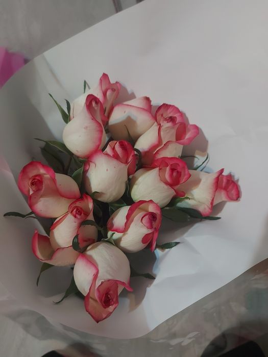 Цветы Джумилия..