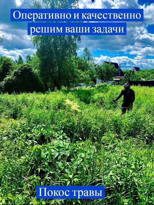 Покос травы. Тараз