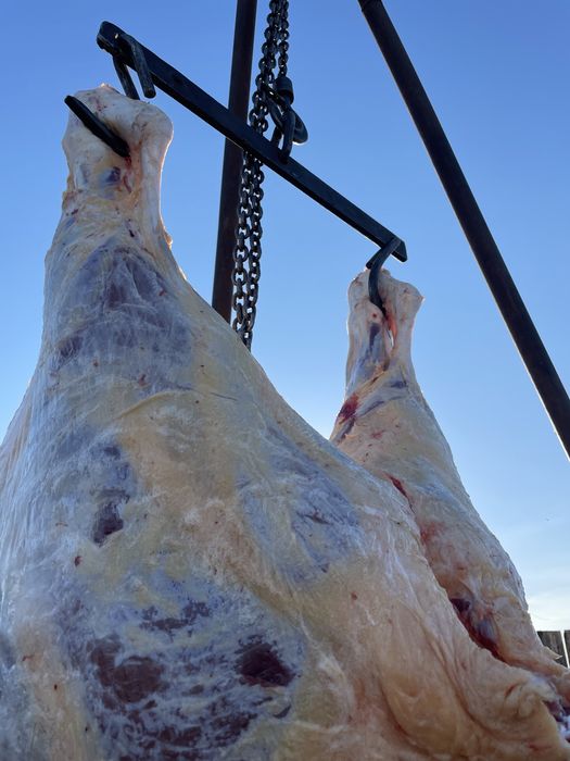 Семіз Қашар Еті “Қостанай-Рудный”