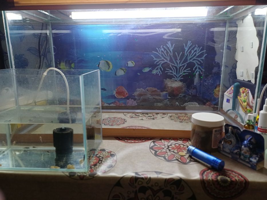 Продам аквариум 100 литров