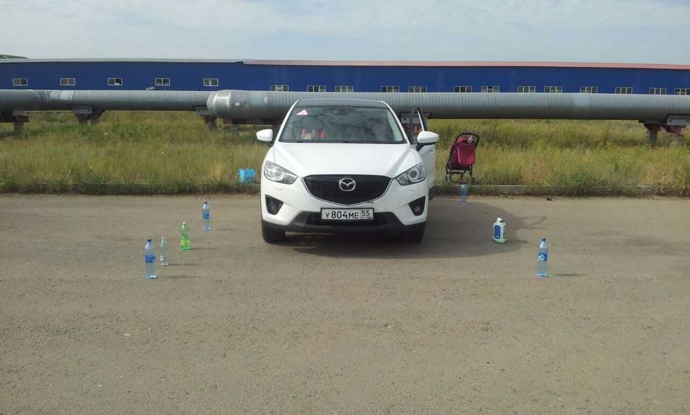 Автоинструктор  по городу.