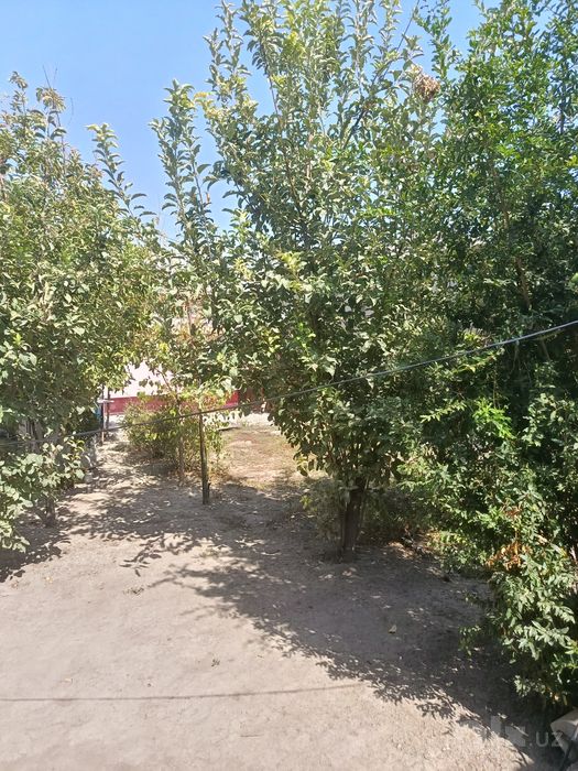 Мирза улугбек тумани, кизил сув кучаси   31уй . Нархи: 185.000$ .
