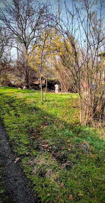 Парцел-с.Елешница-обл.София