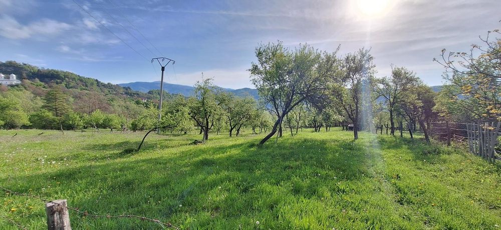 Teren extravilan de vânzare, Com. Nucșoara, Jud. Argeș, 10€/mp