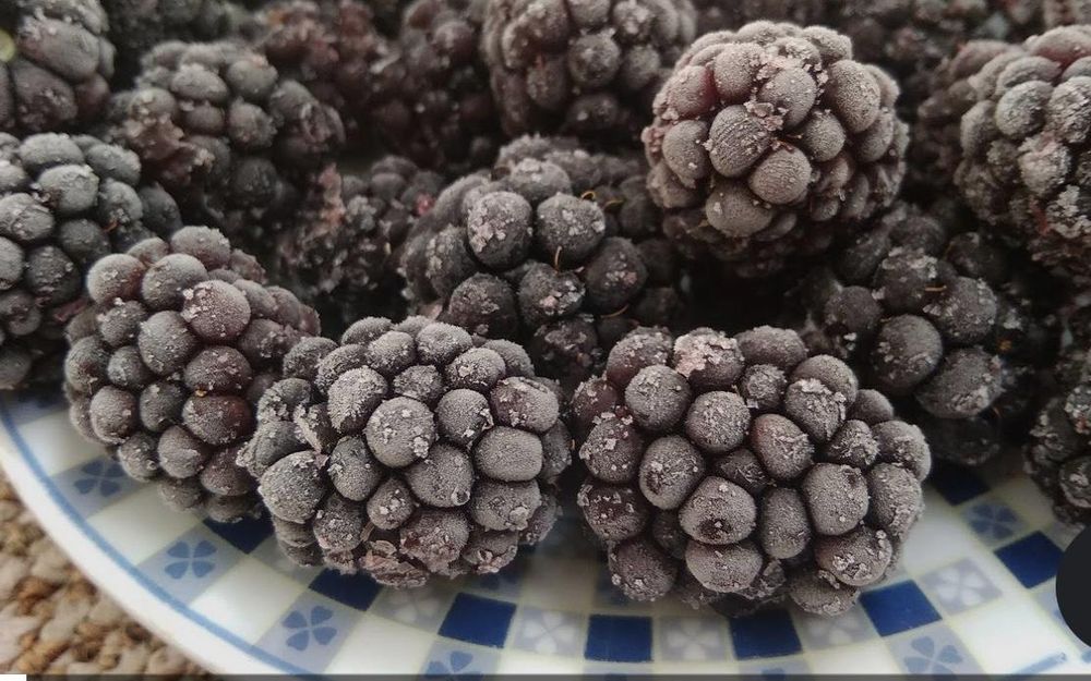 Замороженная ежемалина