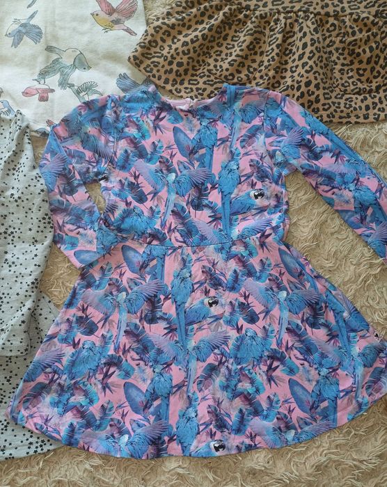 Рокли,на 4-6 години