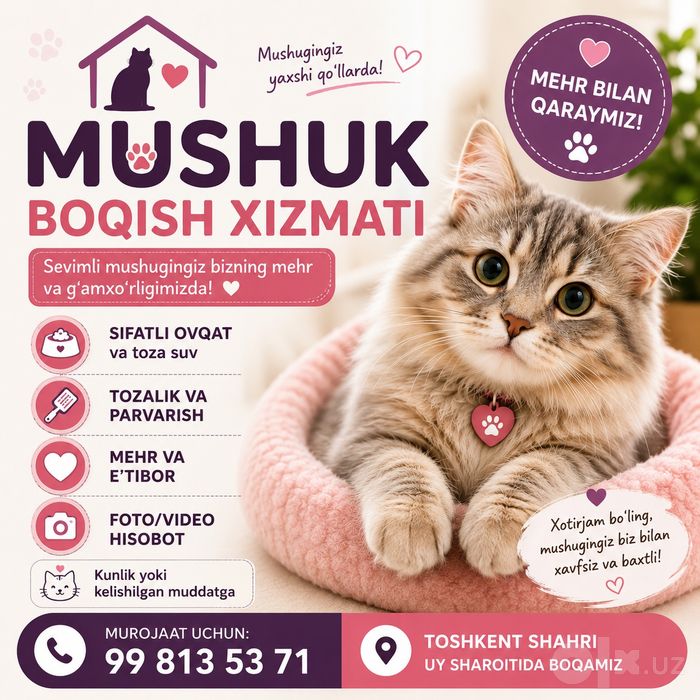 Mushuk boqish xizmati