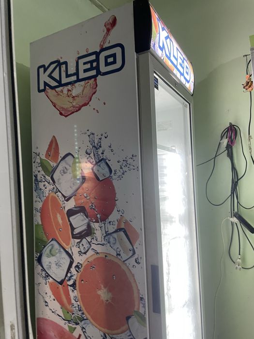 Xalodelnik holari yangi