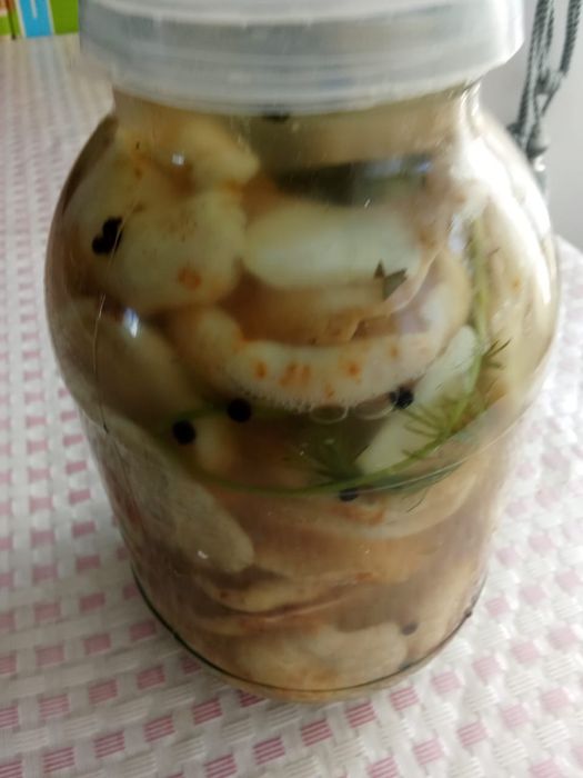Соленые грибы(грузди)