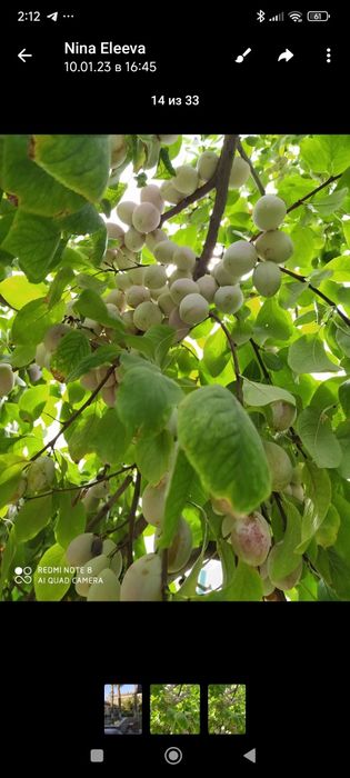 Продам дом с земельным участком