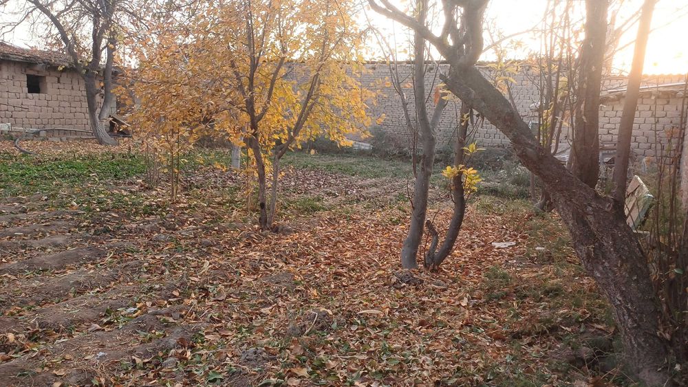 Qurulish uchun yer maydoni sotuvga qo'yilgan