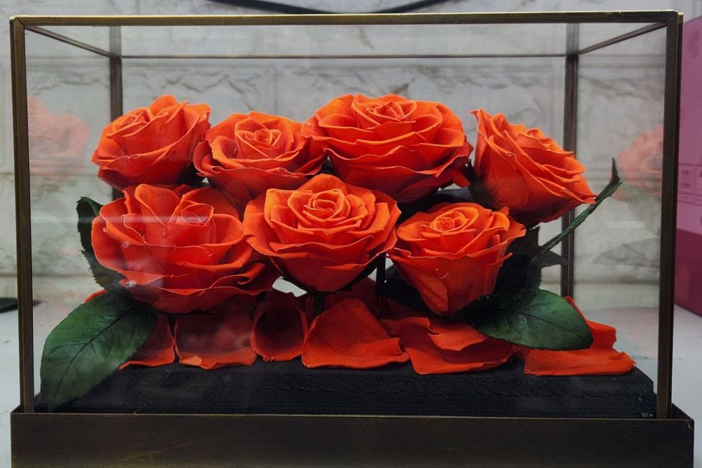 Колбе рози живые  розы   толка для тебя.